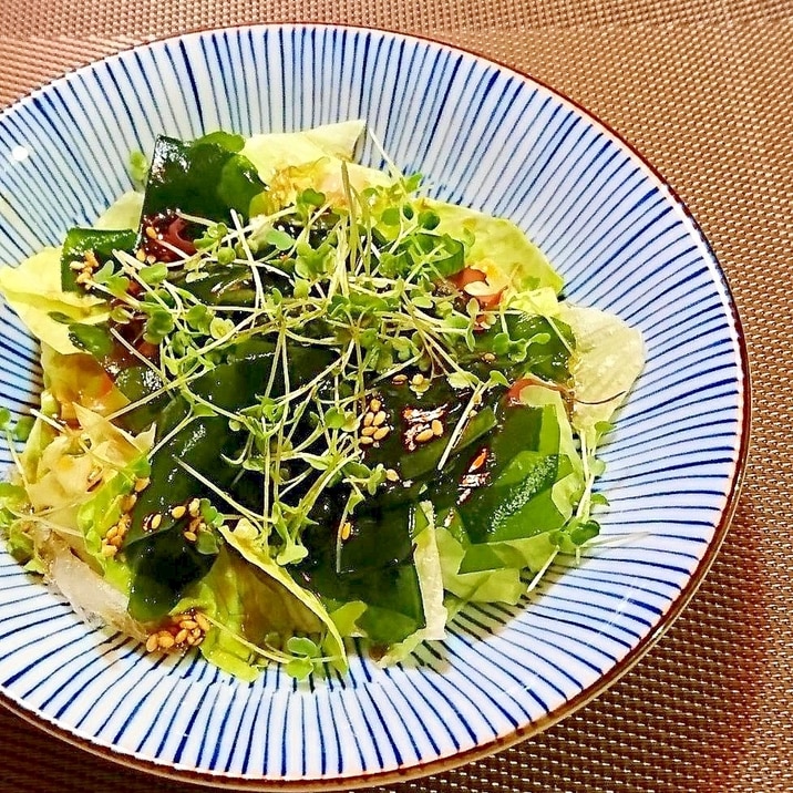 スプラウト海藻サラダ